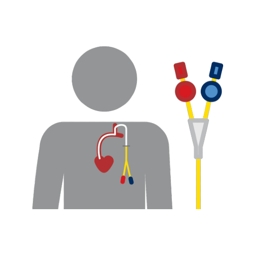 Angiography Image